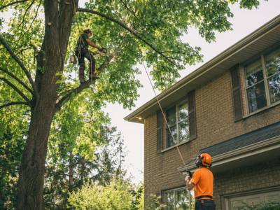 Crew clearing brush and branches into a chipper on site